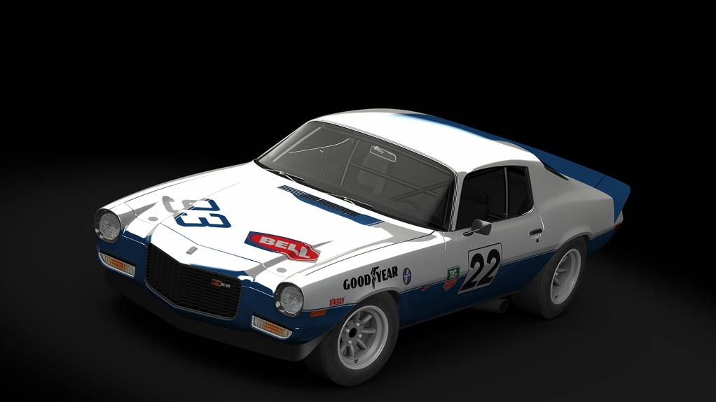 Car Skin