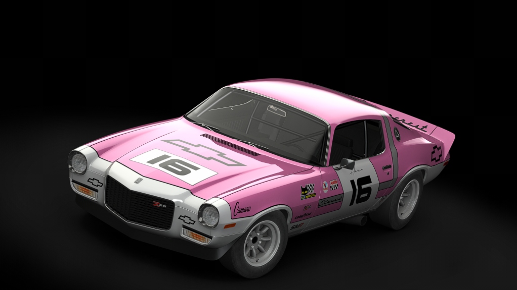 Car Skin