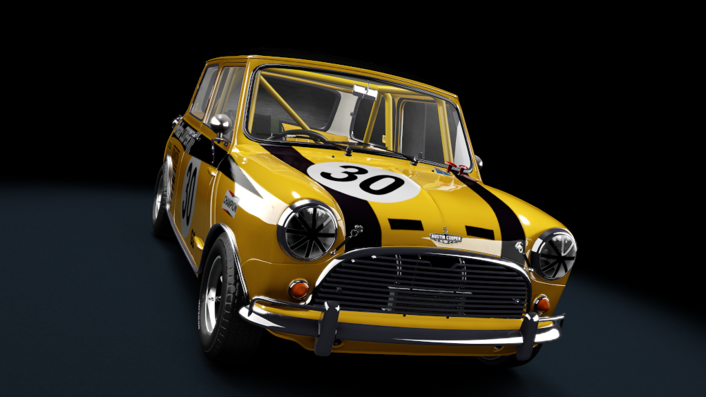 Car Skin